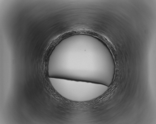X0000116881016200912220940