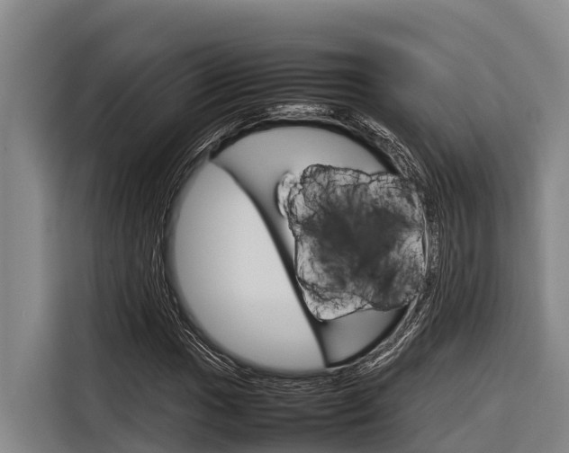 X0000116881017200912220940