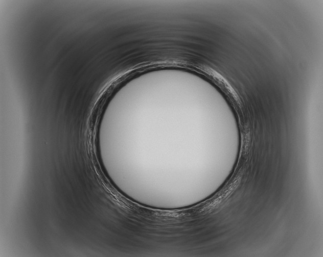 X0000116881019200912220940