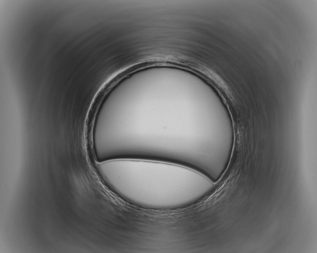X0000116881020200912220940