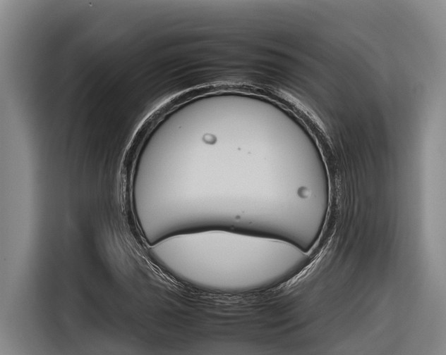 X0000116881021200912220940