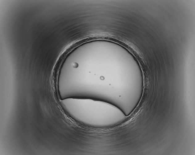X0000116881022200912220940