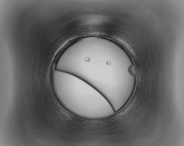 X0000116881023200912220940