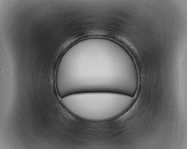 X0000116881025200912220940
