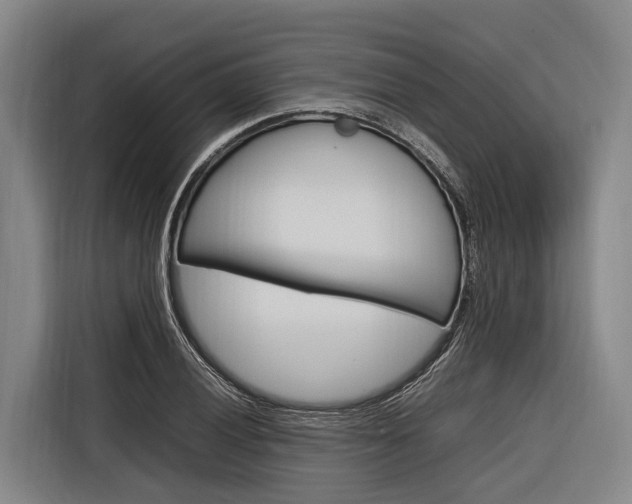 X0000116881028200912220940