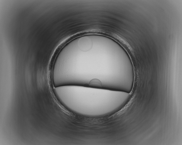 X0000116881029200912220940