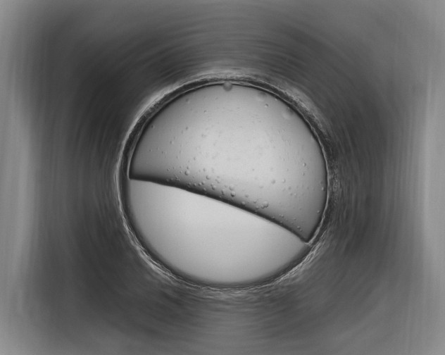 X0000116881030200912220940