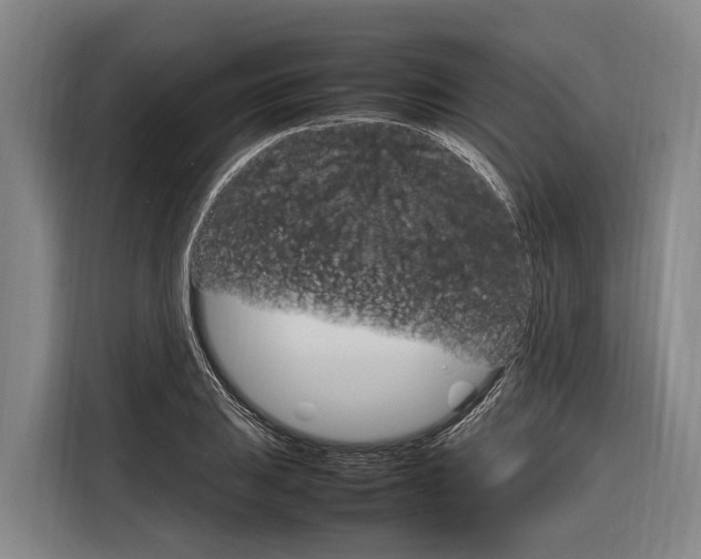 X0000116881031200912220940