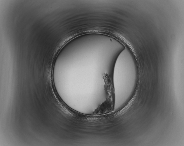X0000116881033200912220940