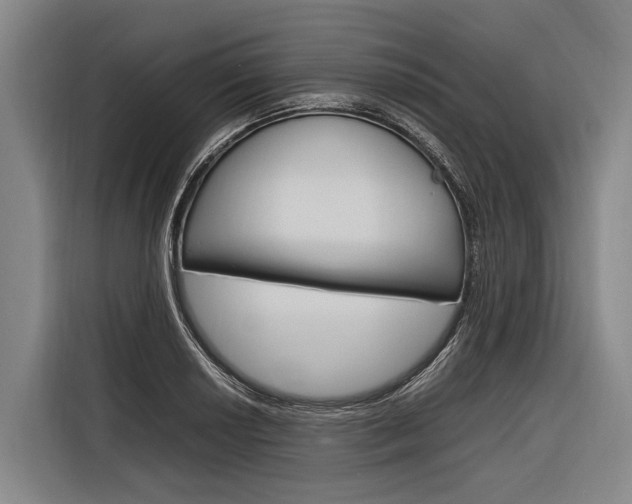 X0000116881034200912220940