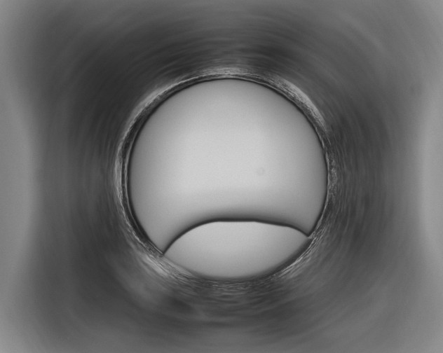 X0000116881035200912220940
