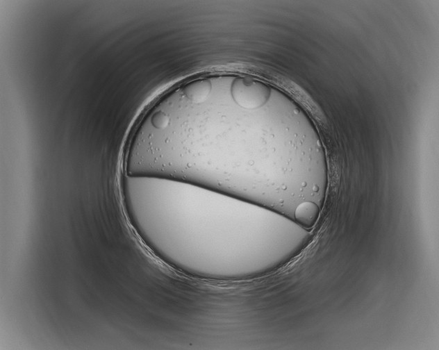 X0000116881036200912220940