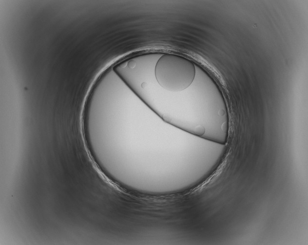 X0000116881037200912220940