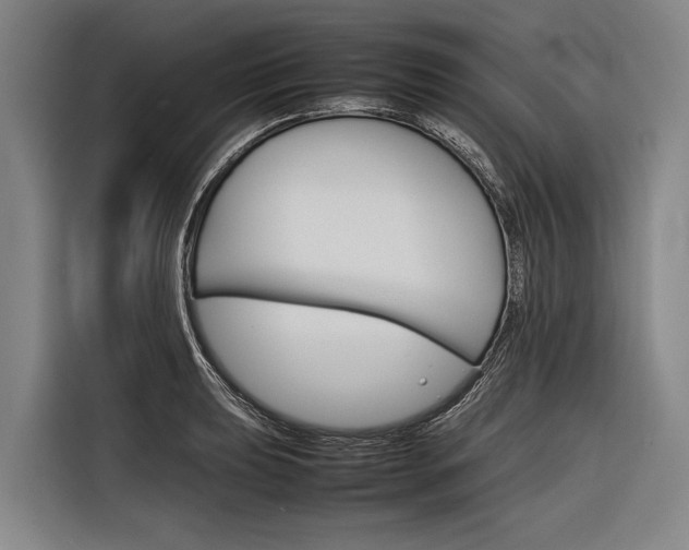 X0000116881039200912220940