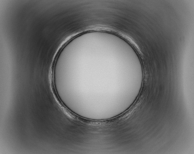 X0000116881040200912220940