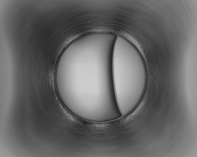 X0000116881041200912220940