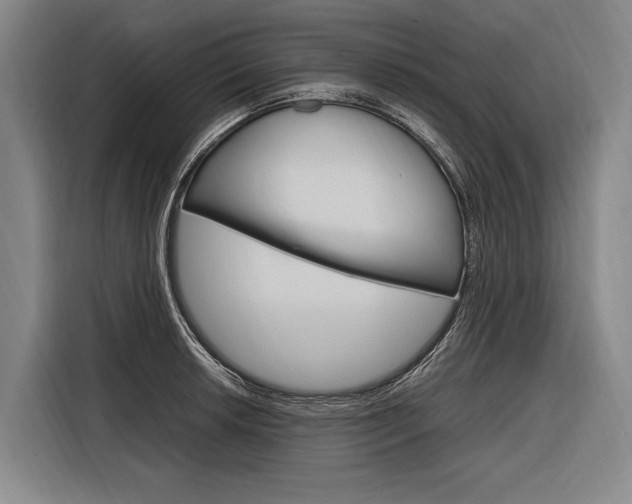 X0000116881042200912220940