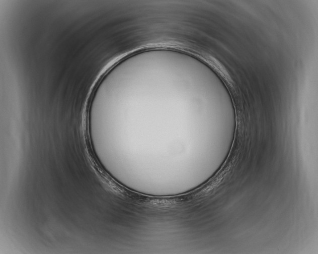 X0000116881044200912220940
