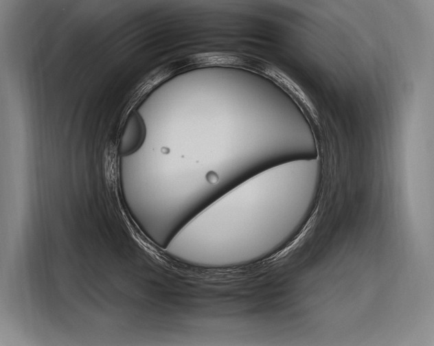 X0000116881049200912220940