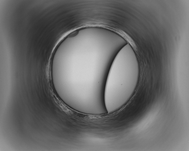 X0000116881052200912220940