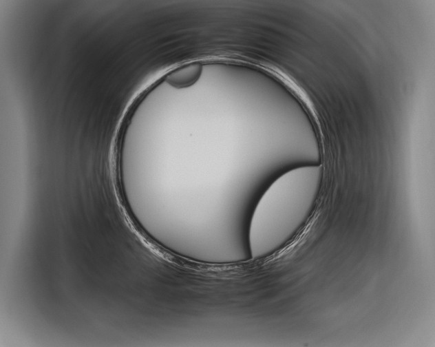 X0000116881053200912220940