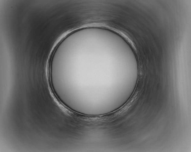 X0000116881054200912220940