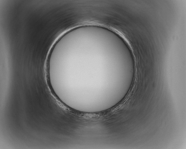 X0000116881056200912220941