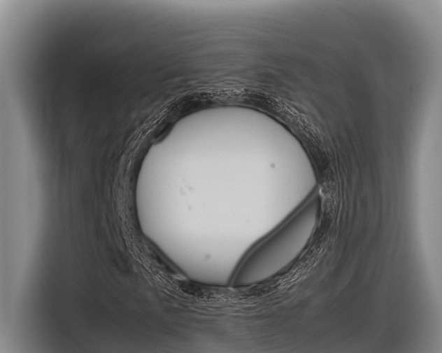X0000116881057200912220940