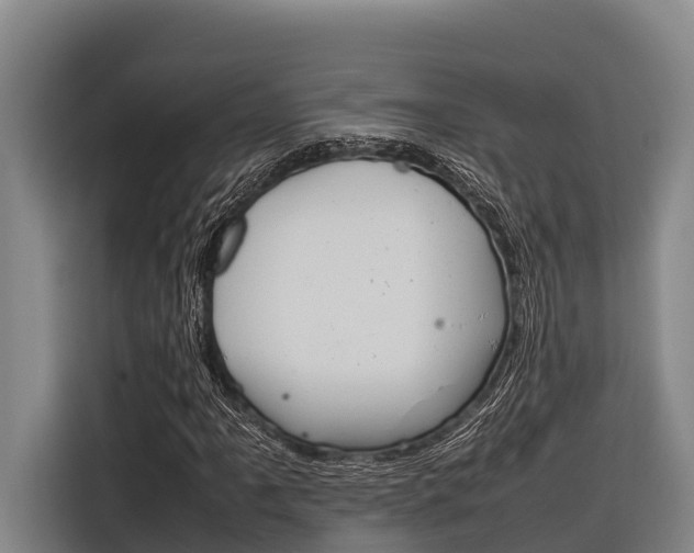 X0000116881061200912220940