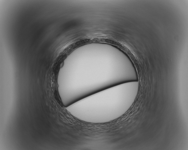 X0000116881063200912220940