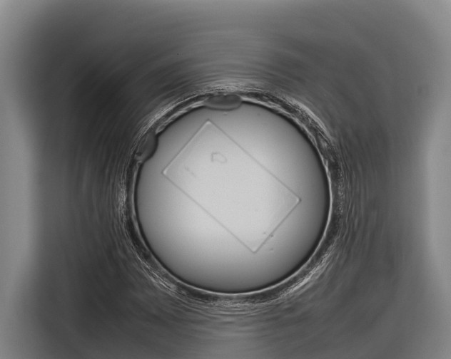 X0000116881065200912220940