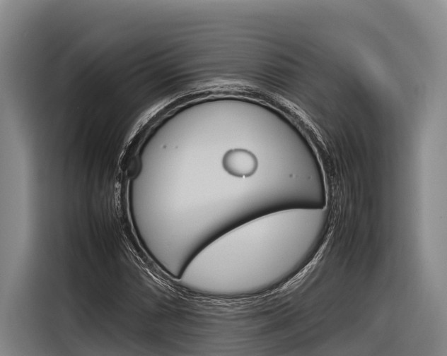 X0000116881066200912220940