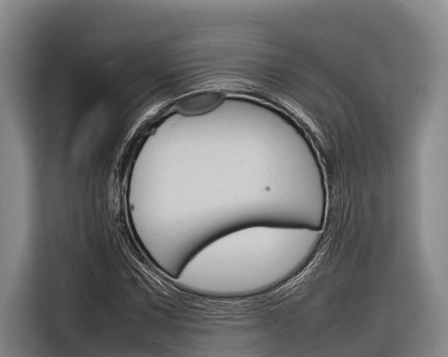 X0000116881067200912220940