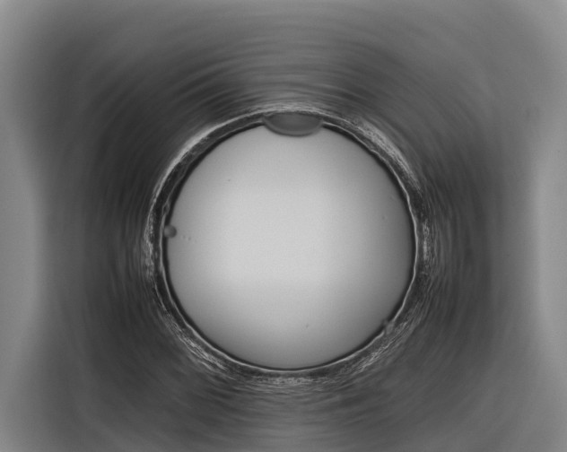 X0000116881068200912220940