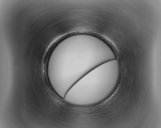 X0000116881070200912220940