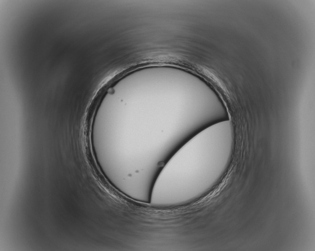 X0000116881071200912220940