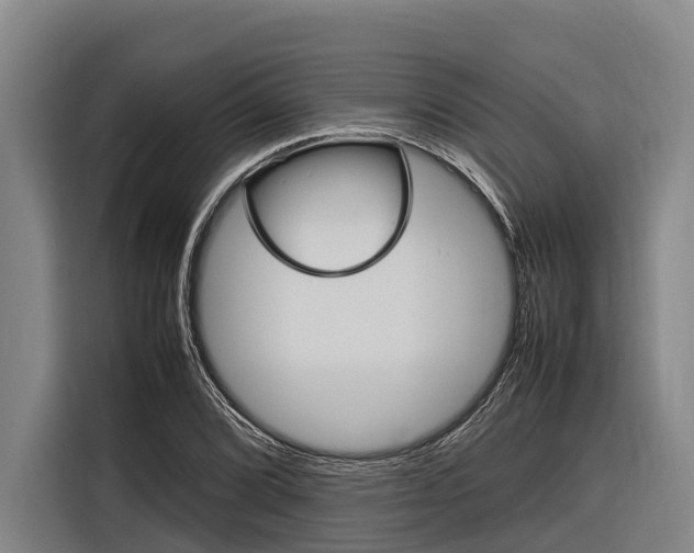 X0000116881072200912220940