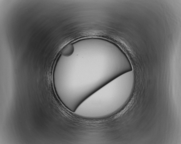 X0000116881073200912220940