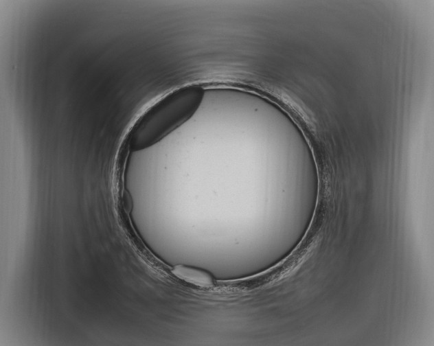 X0000116881077200912220940