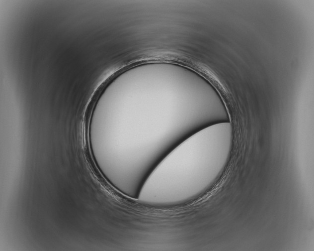 X0000116881079200912220940