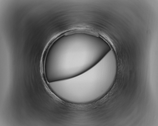 X0000116881080200912220940