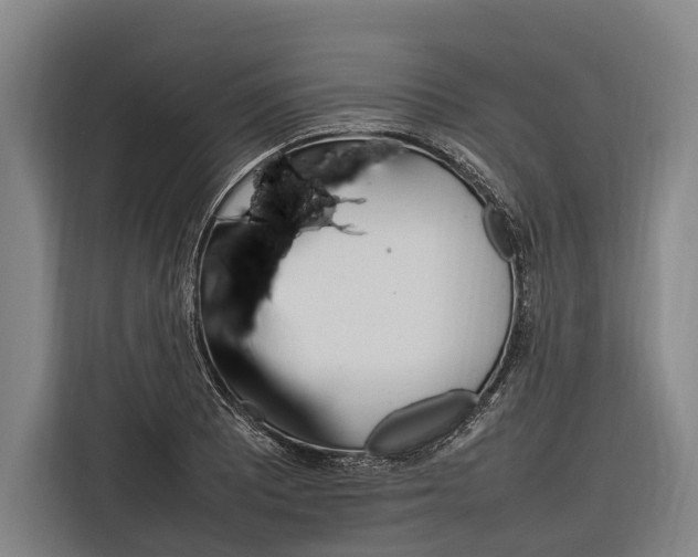 X0000116881081200912220940