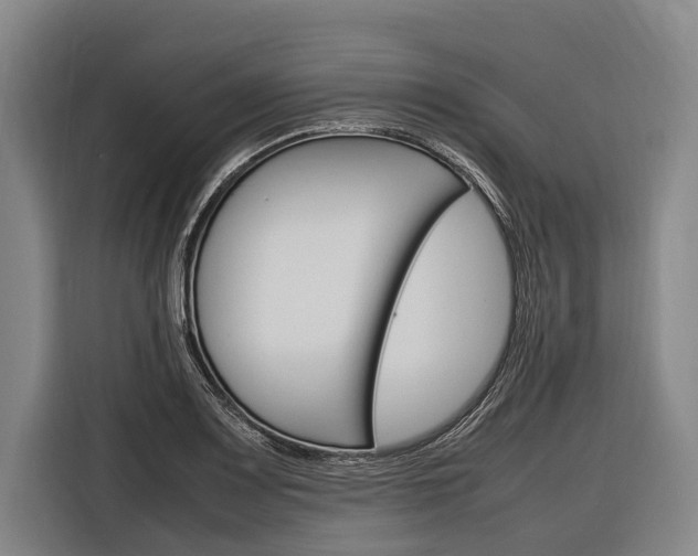 X0000116881083200912220940