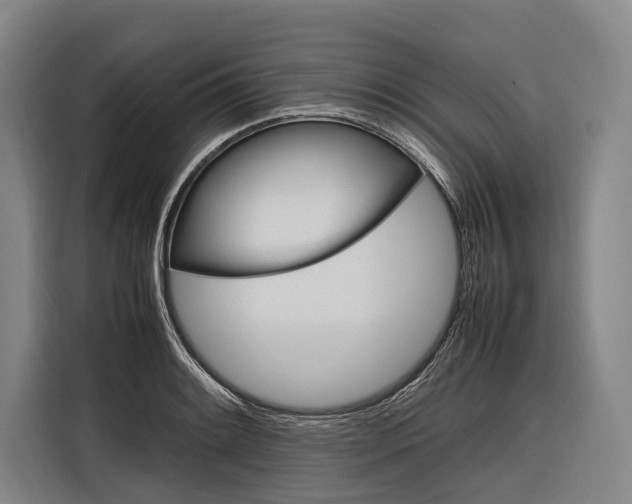 X0000116881084200912220940