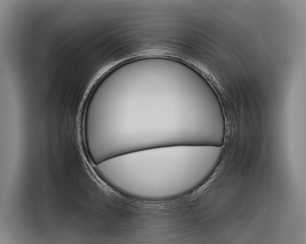 X0000116881086200912220940