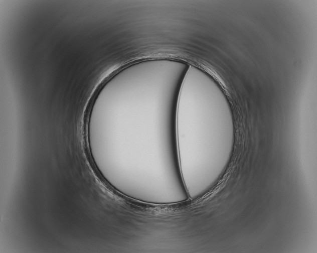 X0000116881087200912220940