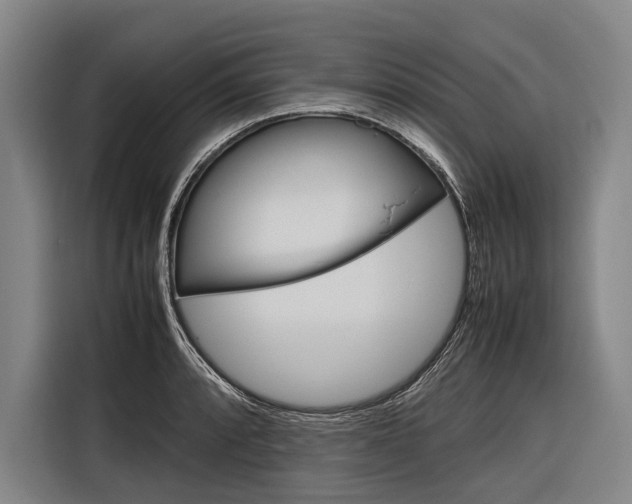 X0000116881088200912220939