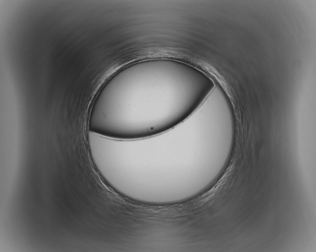 X0000116881089200912220939
