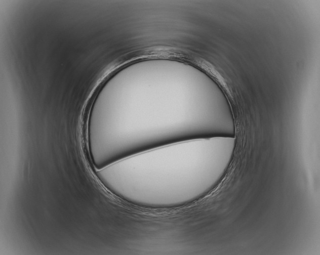 X0000116881091200912220939