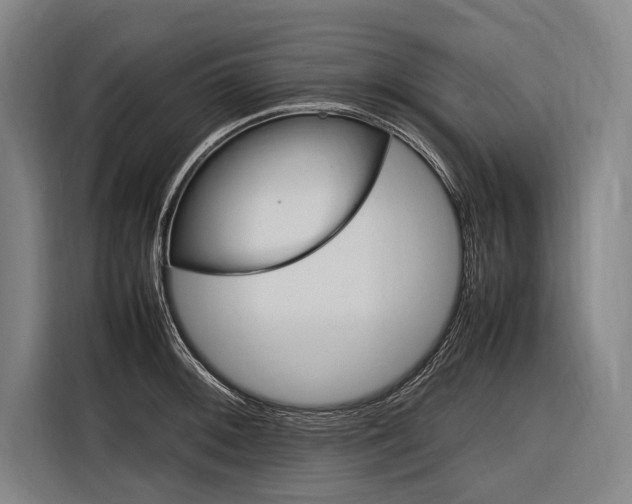 X0000116881092200912220939